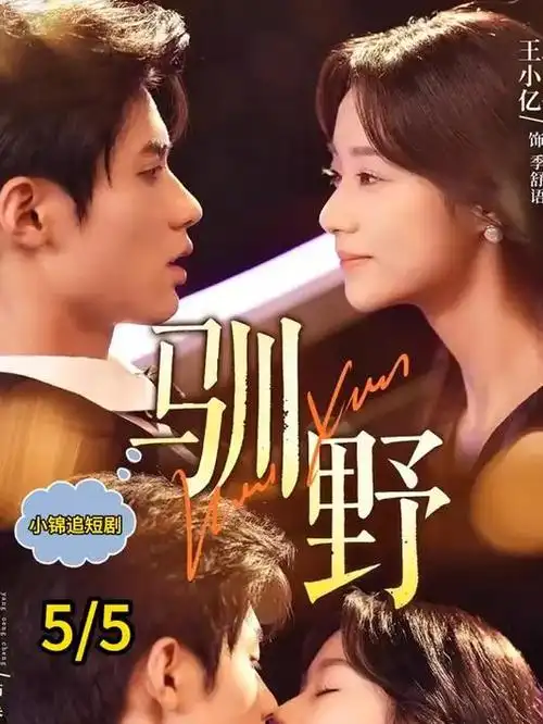 第七档案室 热播电视剧全集免费